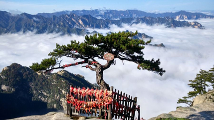 华山南峰第 1 张图片