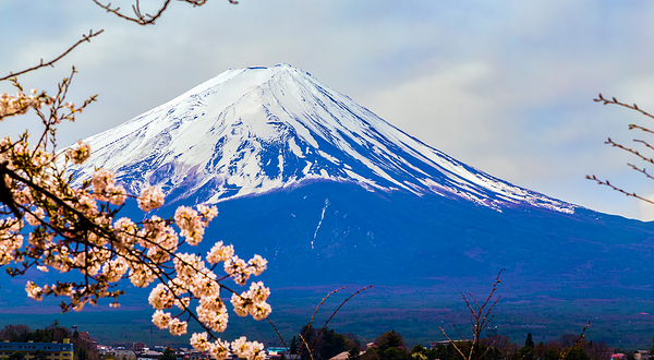 河口湖想像の森