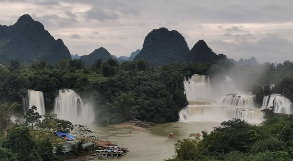 德天老木棉景区