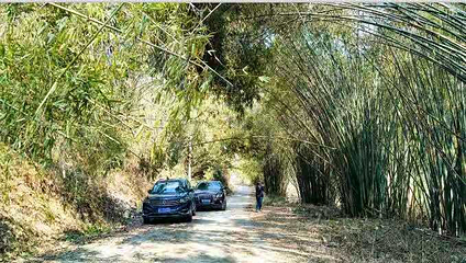 贵州龙里大草原景区第 66 张图片