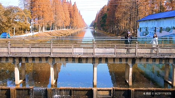 金洲筒车主题公园