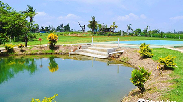 萨贝托泥浆温泉