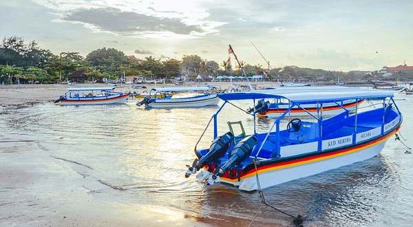 美娜多跃海大鱼