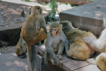 邛海泸山风景区第 14 张图片