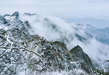 巴山大峡谷第 74 张图片