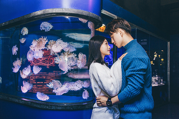 海合安成都极地海洋公园第 107 张图片