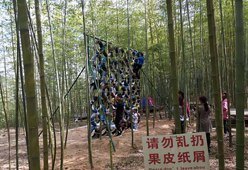 峨山彝人谷竹海景区第 50 张图片