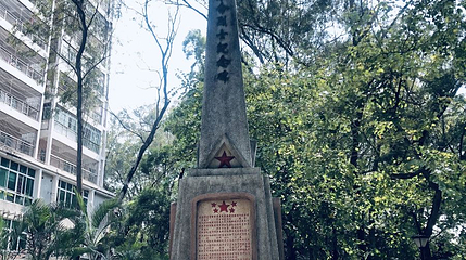 坪山公园第 1 张图片