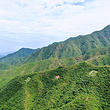 马栏林场