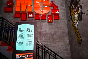 魔力猫室内运动娱乐嘉年华第 40 张图片