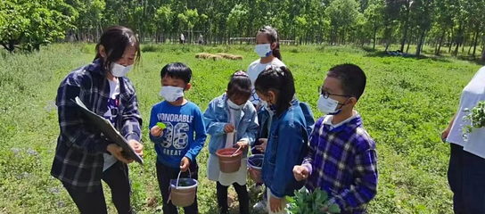 朝阳农场·度林间·城市营地第 16 张图片