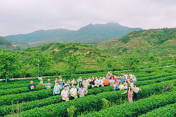 大沙里·欢茶谷第 13 张图片