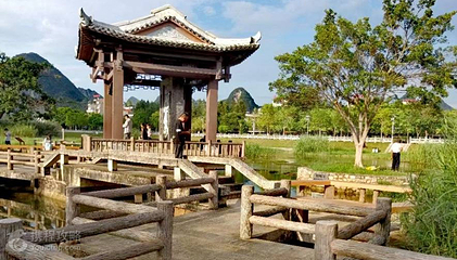 靖西龙潭国家湿地公园第 4 张图片