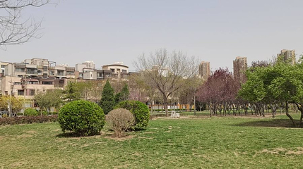 泰达城市公园第 1 张图片