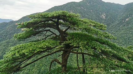 莽山旅游区-鬼子寨景区第 1 张图片