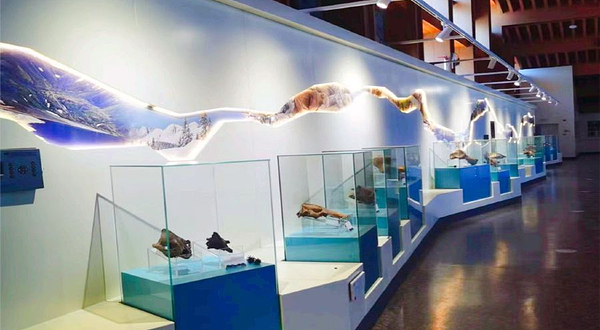 长白山猛犸象主题公园