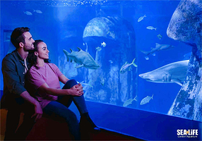 伦敦海洋生物水族馆