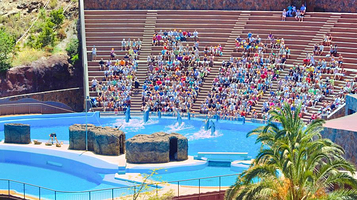 马略卡海样世界