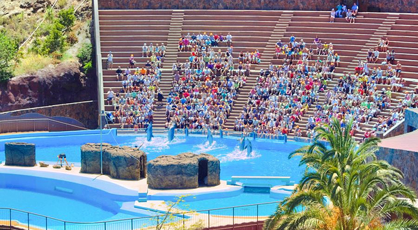 马略卡海样世界