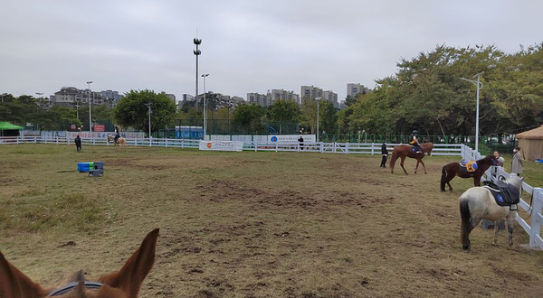 金山文体马术运动中心