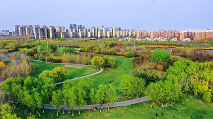 东营植物园第 1 张图片