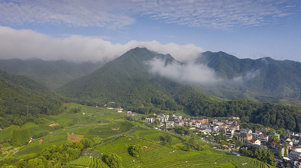 杭州西山国家森林公园第 1 张图片