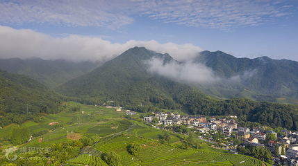 杭州西山国家森林公园第 5 张图片