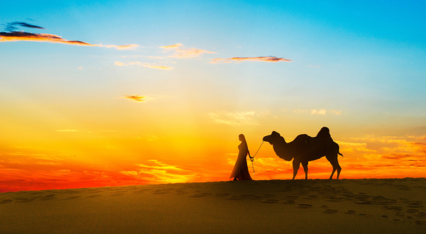 腾格里大漠鸣沙景区