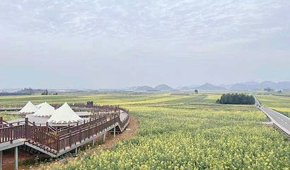 罗平国际油菜花文化旅游节主会场第 1 张图片