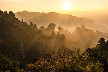 天子山风景区第 61 张图片