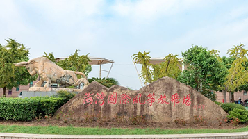 中国海湾风筝放飞场