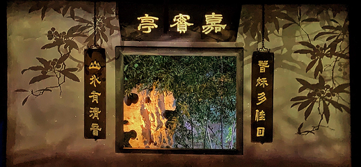 夜游拙政园《拙政问雅》第 11 张图片