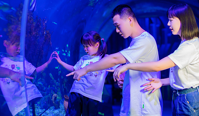 海合安武汉极地海洋公园第 282 张图片