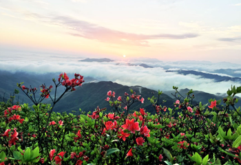 云冰山旅游景区第 11 张图片