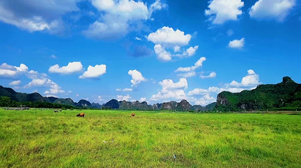 毛塘湿地公园第 1 张图片