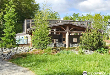 Bird park Villars les Dombes第 2 张图片