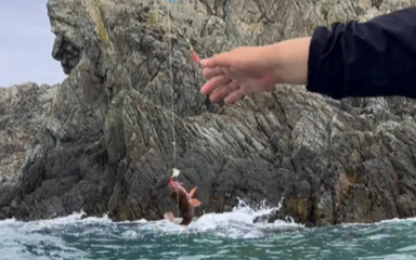 舟山浪客海钓联盟第 1 张图片