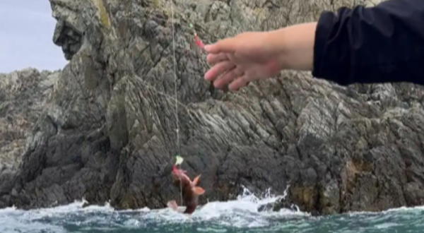 舟山浪客海钓联盟