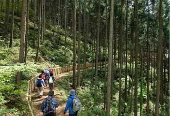 广州山谷国际旅游度假区第 111 张图片