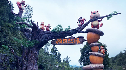 松鼠丛林乐园第 1 张图片