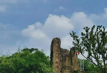 鄱阳湖吴城候鸟小镇第 17 张图片