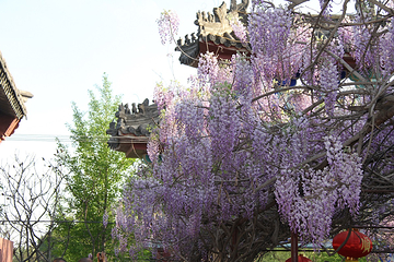 北京圣泉山旅游风景区第 66 张图片