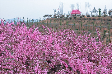 衡阳花奇里生态旅游区第 10 张图片