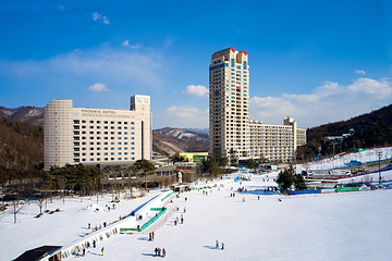 凤凰雪上公园第 5 张图片