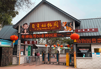 自贡彩灯公园第 21 张图片