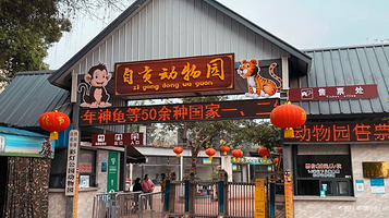 彩灯公园动物园