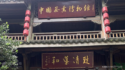 福鼎白茶博物馆第 4 张图片