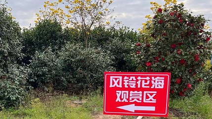 肇庆棕榈谷第 1 张图片