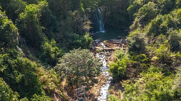 曼佗山庄山茶花主题生态园