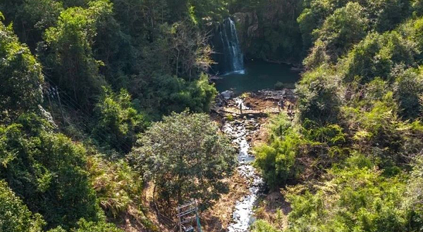 曼佗山庄山茶花主题生态园
